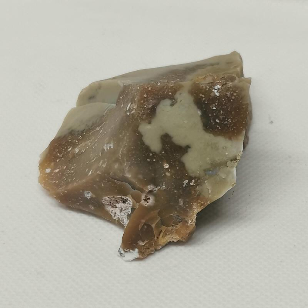 Opalisiertes Versteinertes Holz